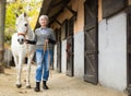 Senior woman horse breeder leading white horse through horse barn Royalty Free Stock Photo