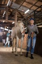 Senior woman horse breeder leading white horse through horse barn Royalty Free Stock Photo