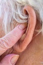 Senior woman inserting hearing aid in her ears Royalty Free Stock Photo