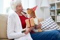 Senior Woman Kissing Dog on Birthday Royalty Free Stock Photo