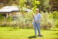 Senior woman with lawn rake working at garden