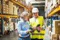 Senior woman manager and man worker working in a warehouse. Royalty Free Stock Photo