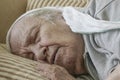 Senior woman sleeping on sofa Royalty Free Stock Photo