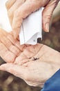 Senior woman pours basil seeds from a paper bag on wrinkled palm above soil