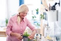 Senior woman preparing food in kitchen indoors, cutting herbs.