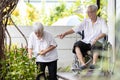 Senior woman pruning branches of flowers,elderly relaxing,enjoying with plants in the garden,happy smiling asian old people doing