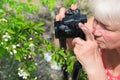 Senior woman shooting photo by digital camera. Shooting blooming apple tree. Concept of aged people and photography Royalty Free Stock Photo