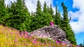 Senior woman sitting on a large rock in the alpine meadows covered in wildflowers Royalty Free Stock Photo