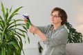 Senior woman sprays plants in flowerpots. Happy female caring for house plant. Mature Woman taking care of plants at her Royalty Free Stock Photo