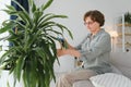 Senior woman sprays plants in flowerpots. Happy female caring for house plant. Mature Woman taking care of plants at her Royalty Free Stock Photo