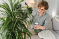 Senior woman sprays plants in flowerpots. Happy female caring for house plant. Mature Woman taking care of plants at her Royalty Free Stock Photo