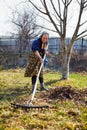 Senior woman spring cleaning in a walnut orchard Royalty Free Stock Photo
