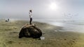 Senior Woman standing on a large Driftwood Log looking out into the Dense Fog over the Pacific Ocean in Cox Bay Royalty Free Stock Photo