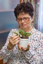 Senior woman taking care of plants at home, removing dead leaves from a plant, vertical Royalty Free Stock Photo