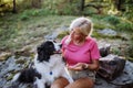 Senior woman training her dog during walk in forest. Royalty Free Stock Photo