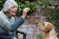 Senior Woman Training Pet Dog In Garden With Treat Royalty Free Stock Photo