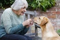 Senior Woman Training Pet Dog In Garden With Treat Royalty Free Stock Photo