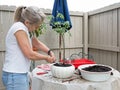 Senior Woman Twisting Wire of Wisteria Tree