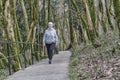 Senior woman walking along tourist trail in relic forest. Royalty Free Stock Photo