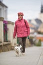 Senior woman walking her little dog on a city street
