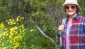 Senior woman walking outdoors in the forest close to a group of yellow flowers Royalty Free Stock Photo