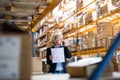 Senior woman warehouse manager or supervisor with smartphone making a phone call. Royalty Free Stock Photo