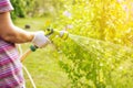 Senior woman watering her garden by hand hose during dry season, summer, water shortage issue, gardening concept