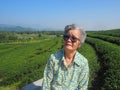 Senior woman wearing sunglasses, smiling and looking at the camera while sitting on a chair in the tea plantation. Space for text Royalty Free Stock Photo