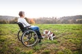 A senior woman in wheelchair with dog in autumn nature. Royalty Free Stock Photo