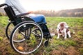 A senior woman in wheelchair with dog in autumn nature. Royalty Free Stock Photo