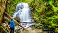 Whitecroft Falls, on McGillivray Creek in the town of Whitecroft, BC, Canada