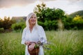 Senior woman wih basket in meadow in summer collecting herbs and flowers, natural medicine concept. Royalty Free Stock Photo