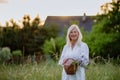 Senior woman wih basket in meadow in summer collecting herbs and flowers, natural medicine concept. Royalty Free Stock Photo