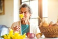 Senior woman by the window smelling yellow daffodil, Easter