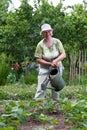 Senior woman working in garden Royalty Free Stock Photo