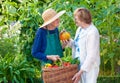 Senior Women at the Farm With Basket of Veggies. Royalty Free Stock Photo