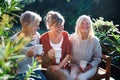 Senior women friends with coffee sitting outdoors on terrace, resting.