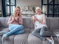 Senior woman and her attractive daughter spending time together at home. Sitting on sofa and drinking tea together. Happy Mothers Royalty Free Stock Photo