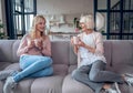 Senior woman and her attractive daughter spending time together at home. Sitting on sofa and drinking tea together. Happy Mothers Royalty Free Stock Photo