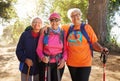 Senior women, hiking group and friends fitness in nature, park and forest for healthy lifestyle, wellness and freedom Royalty Free Stock Photo
