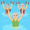 Senior women making aqua gym exercises with dumbbells in swimming pool