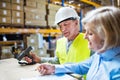 Senior woman manager and man worker working in a warehouse. Royalty Free Stock Photo