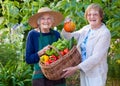 Senior Women Showing Farm Vegetables in a Basket