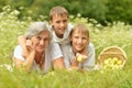 Woman with two boys lying on grass