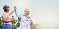 Senior women, walking and high five for motivation and workout success from outdoor fitness. Banner, elderly friends and Royalty Free Stock Photo