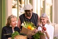 Seniors Comparing Purchases from Farmers Market Royalty Free Stock Photo