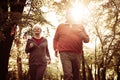 Seniors couple jogging together in park. Royalty Free Stock Photo