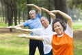 Seniors doing gymnastics in the park Royalty Free Stock Photo