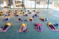 Seniors doing yoga exercising Royalty Free Stock Photo