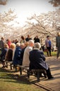 Seniors sitting on bench in park with sakura trees in Vilnius, Lithuania, Europe